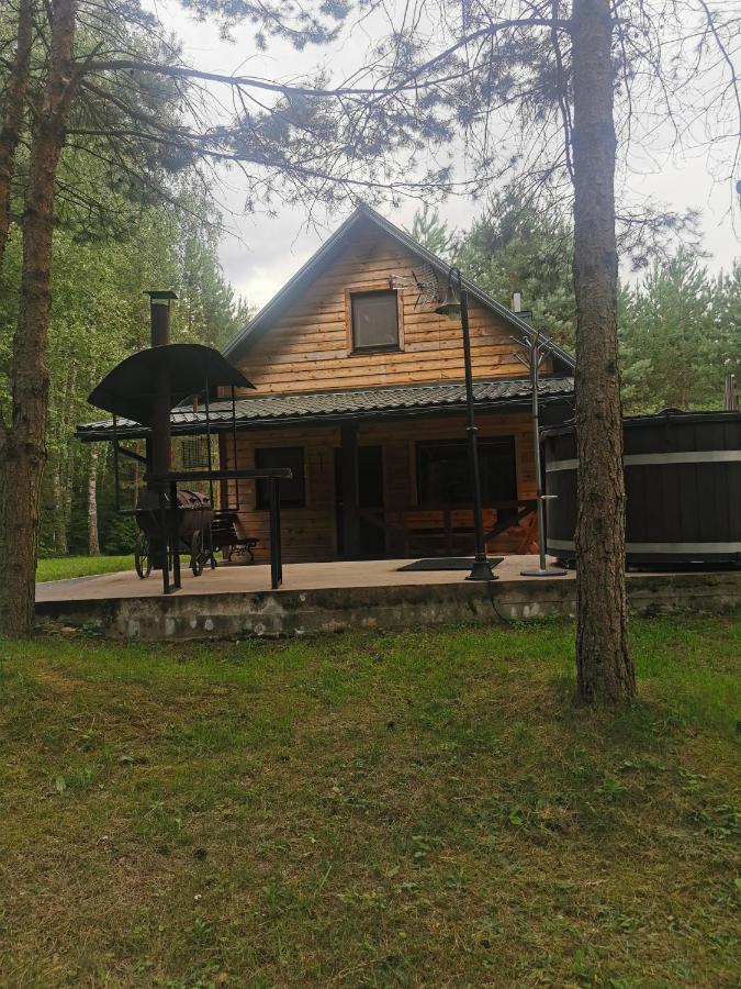 Namelis Su Pirtele Villa Druskininkai Exterior photo